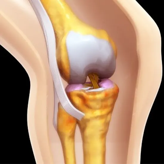 Healthy Bone and Joint Assays